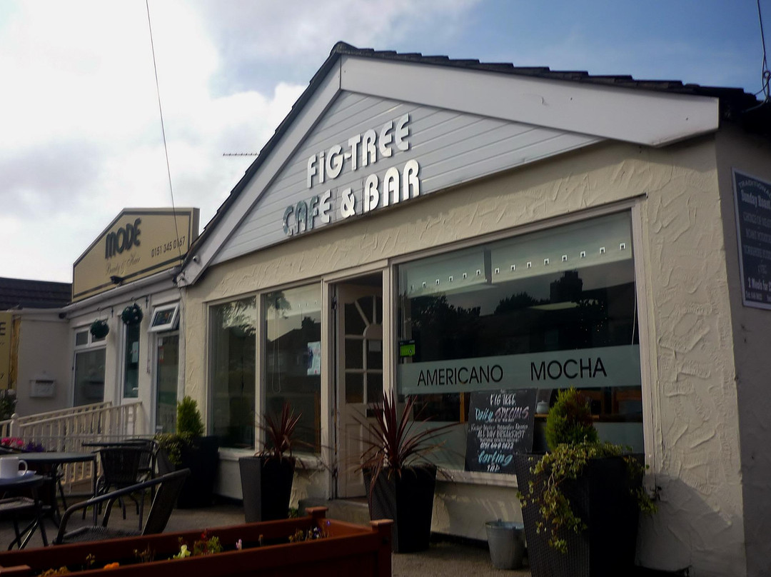 Thingwall餐馆和美食-Fig Tree Cafe