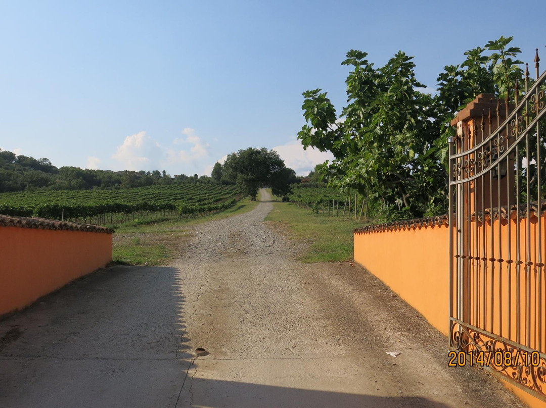 La Quercia del Barone