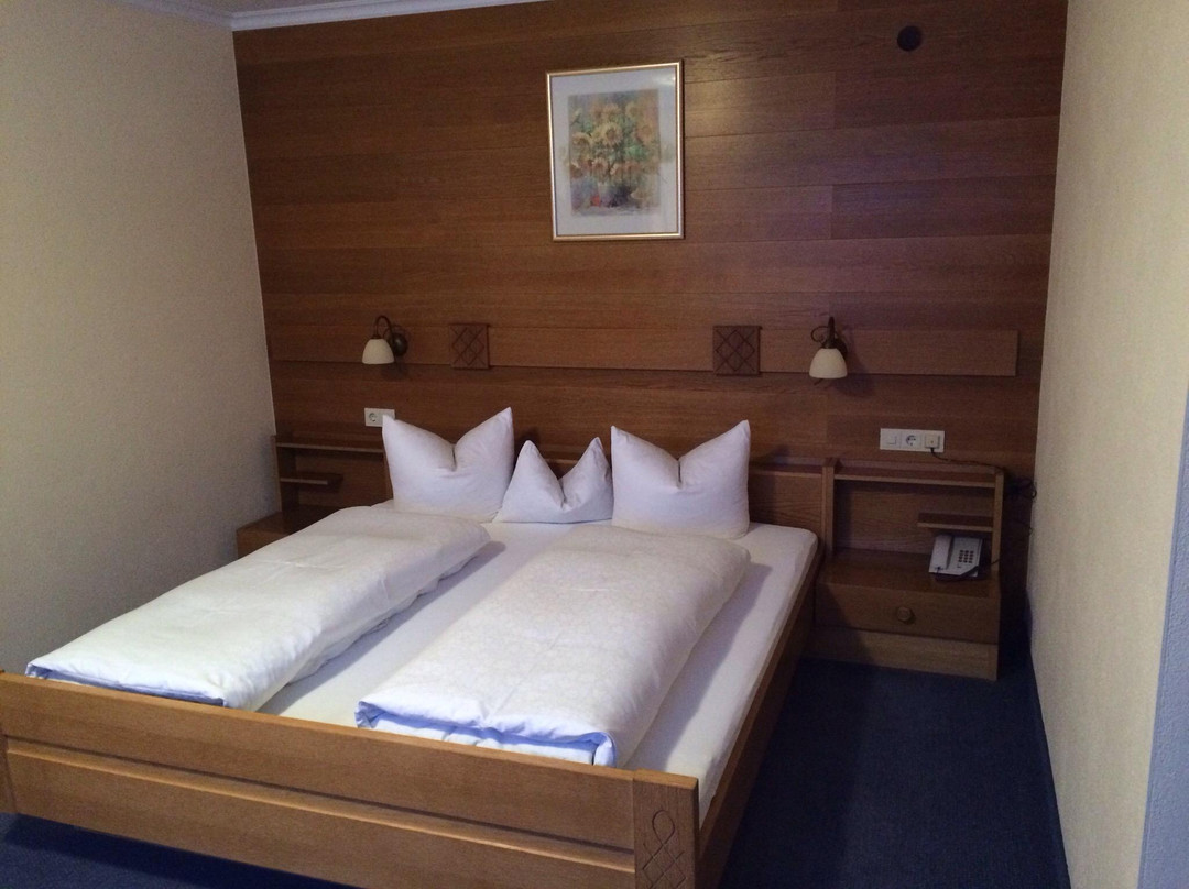 Zug酒店住宿-Pension Zug