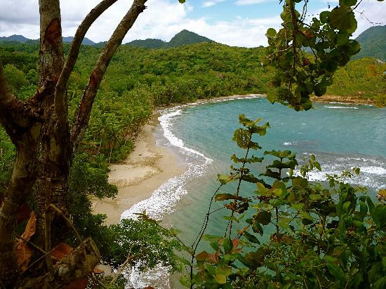 Calibishie酒店住宿-Veranda View Guest House