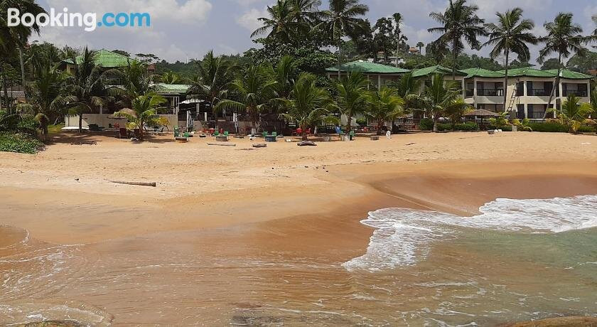 Hotel Palm Rock Beach主图