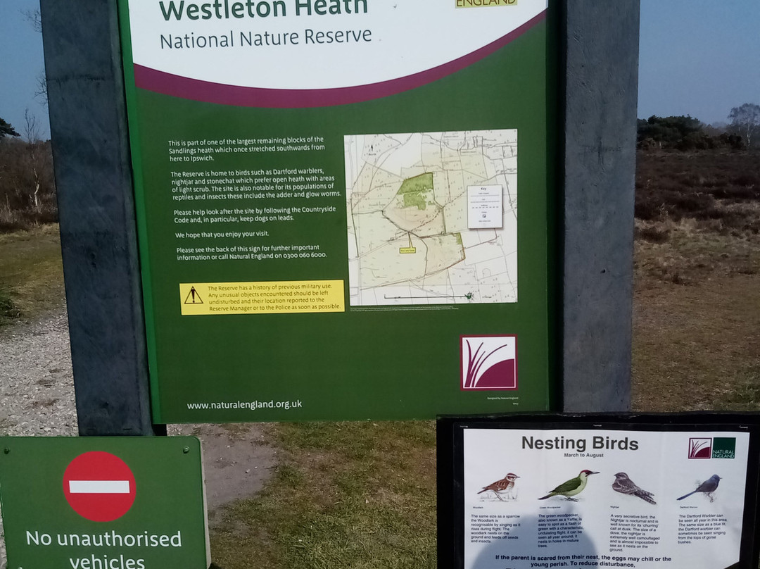 Westleton heath national nature reserve景点图片