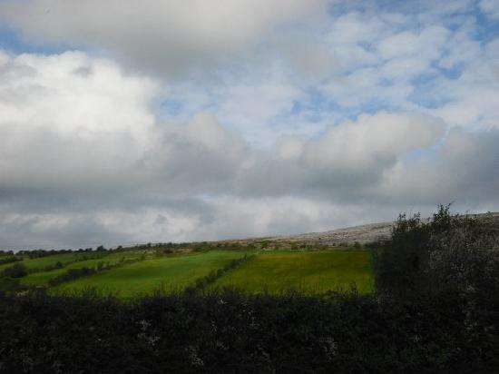 Burren Wild Tours景点图片