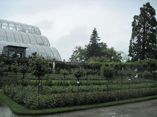 Isle of Mainau-康士坦茨必去景点