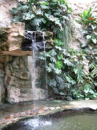 圣安东尼奥植物园-圣安东尼奥市必去景点