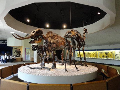 佩吉博物馆-洛杉矶必去景点