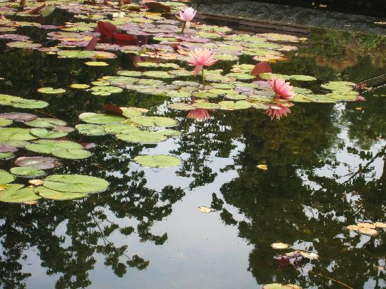 温哥华植物园-温哥华必去景点