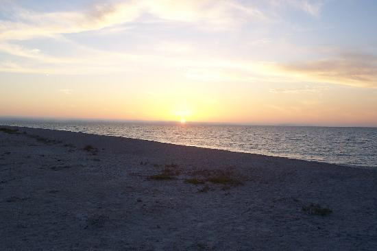 Cayo Costa State Park-Boca Grande必去景点