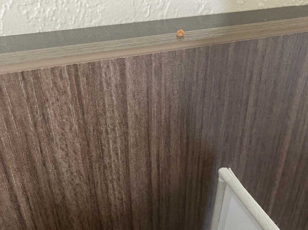 Days Inn & Conference Centre by Wyndham Prince Albert主图