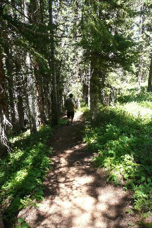 Snowmass Village Hiking Trails-斯诺马斯村必去景点