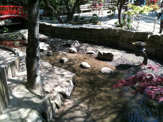 Newquay Zoo-纽奎必去景点
