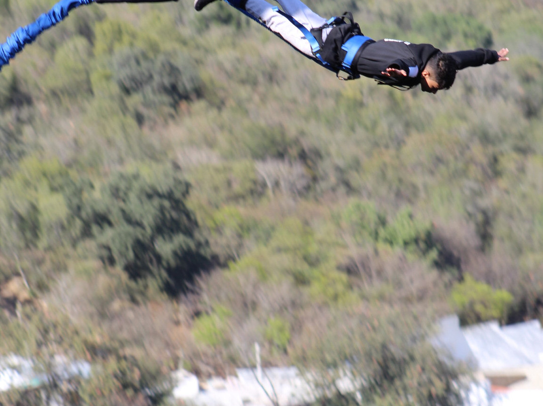 IBO Adventures-蒙特雷必去景点