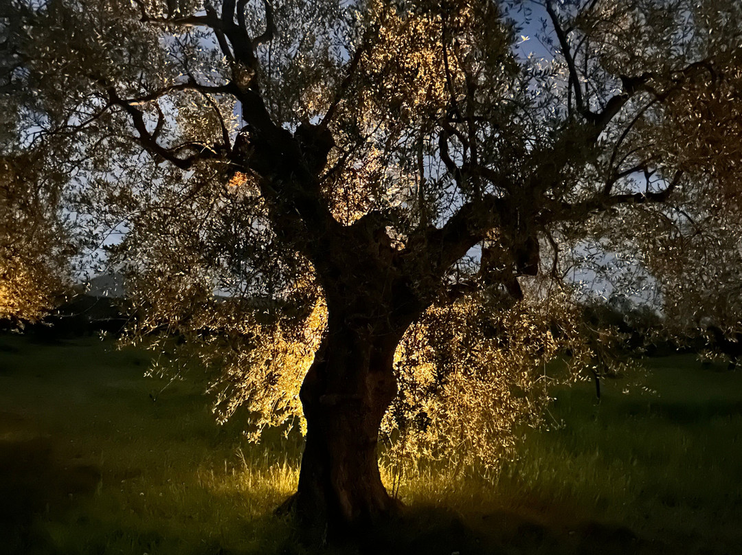 Eumelia Organic Agrotourism Farm主图