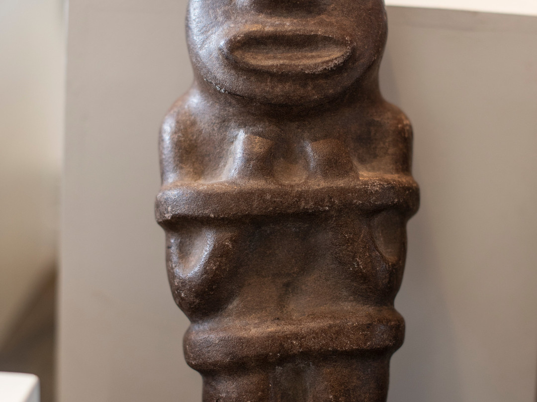 Museo Municipal Carlos Dreyer-普诺大区必去景点