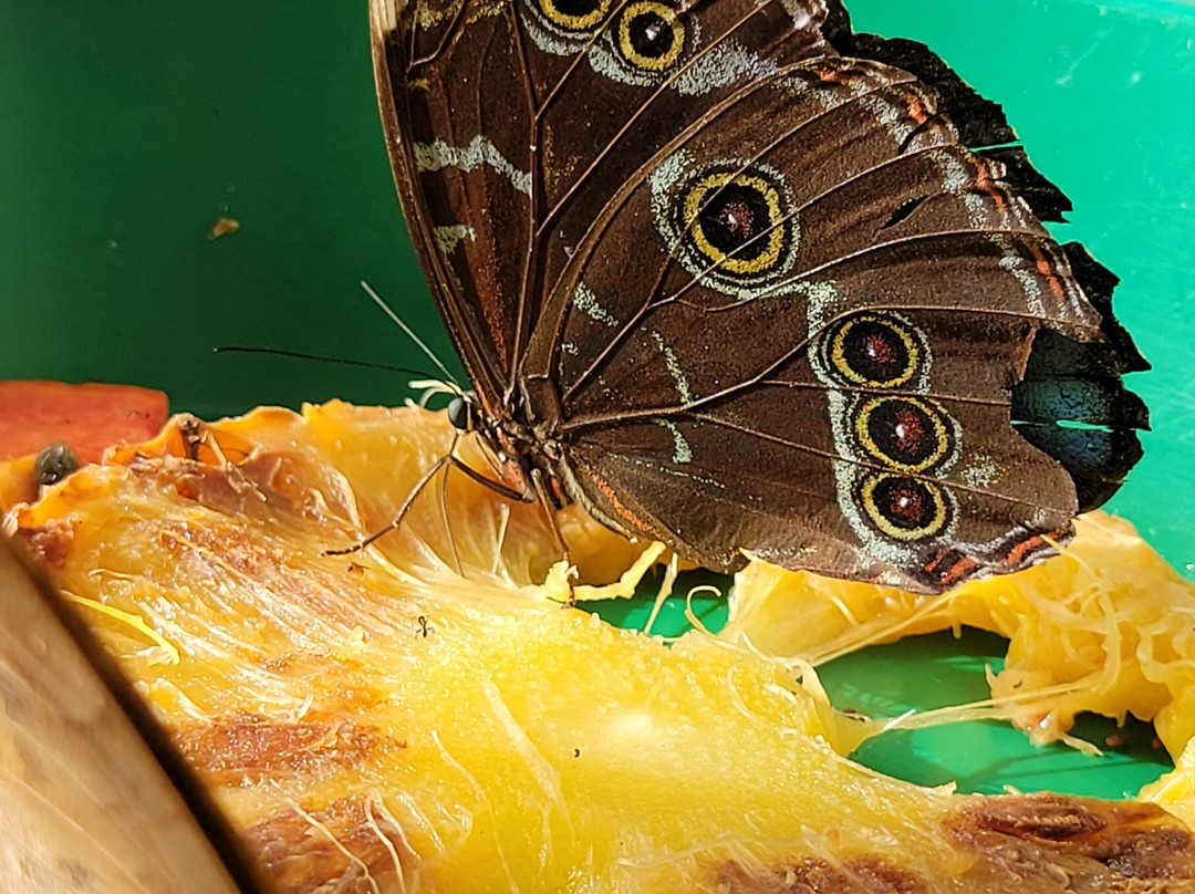 Maripoxa Ecotours-奥克萨潘帕必去景点