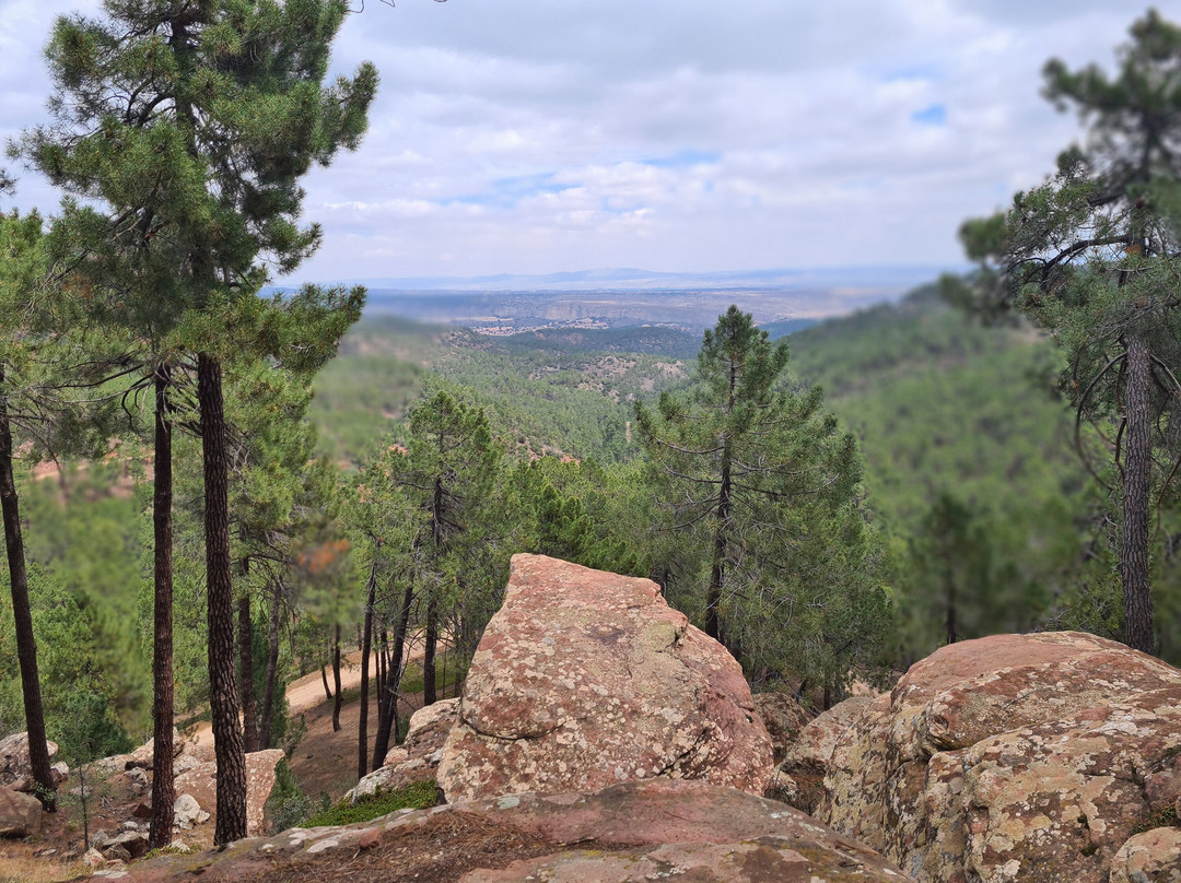 Pinares del Rodeno景点图片