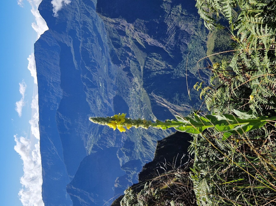 Piton Maïdo景点图片