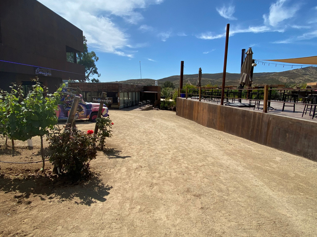 Ruta Del Vino Tours-Valle de Guadalupe必去景点