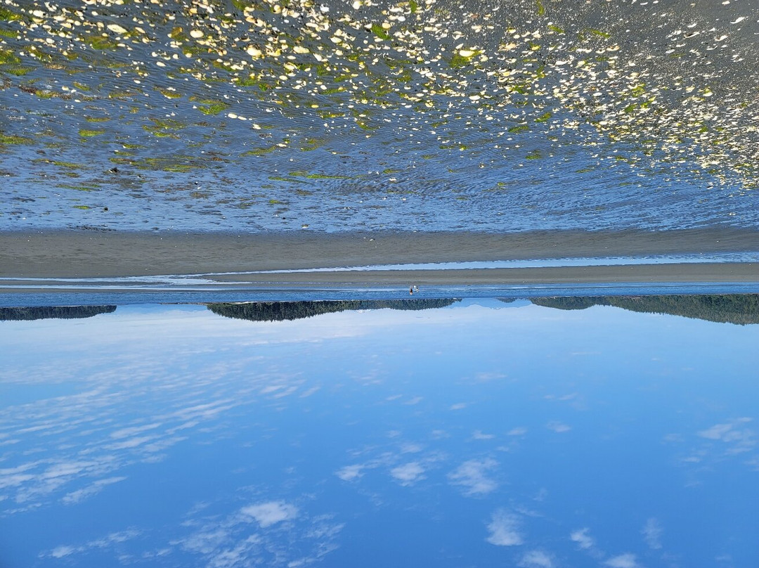 Beaver Harbour Park (Storey's Beach)景点图片