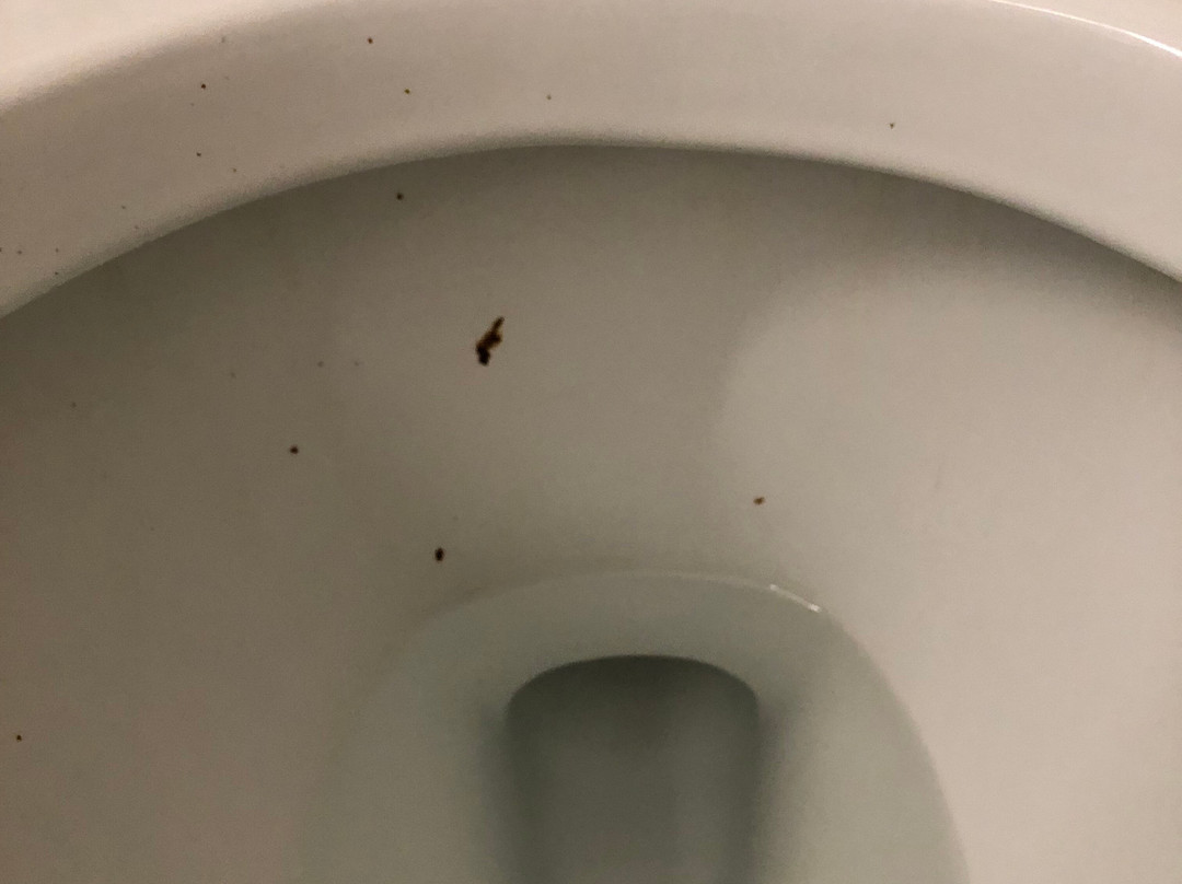 莫斯科帕尔曼拉金塔旅馆&套房酒店主图