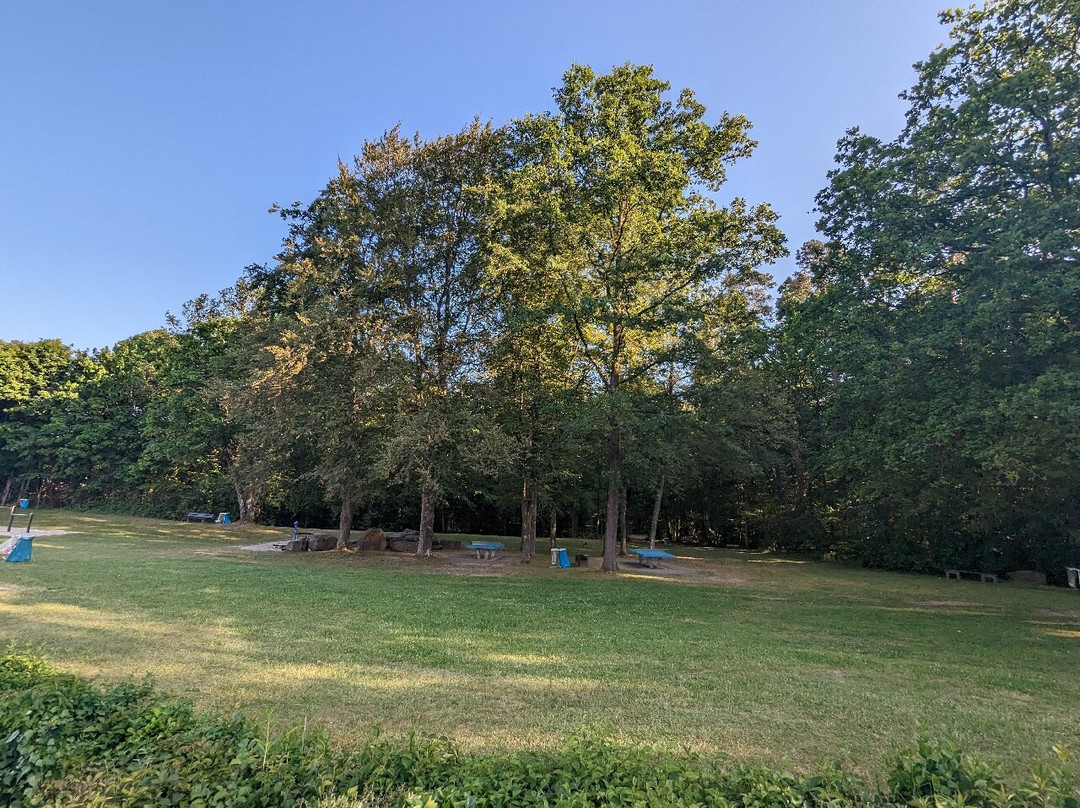 Waldfreibad Rodenbach景点图片