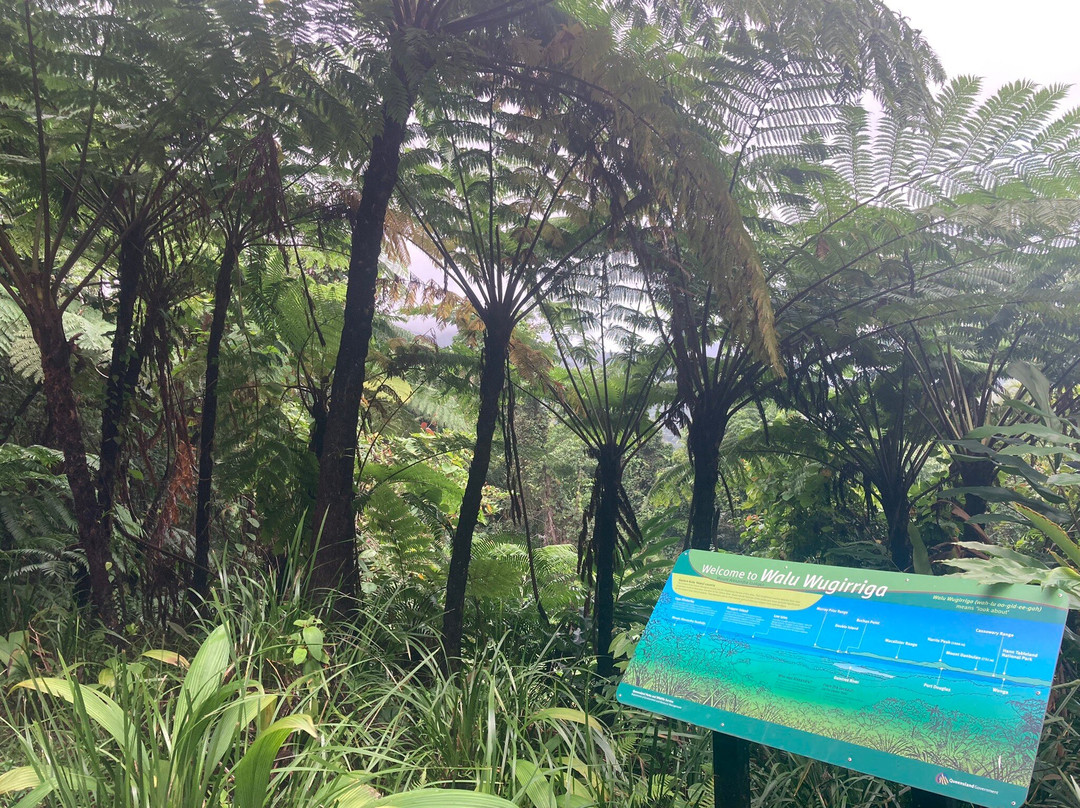Mount Alexandra Lookout-Cape Tribulation必去景点