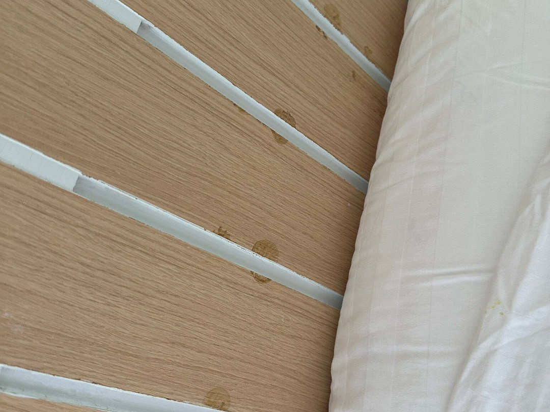 尼斯海景度假村主图