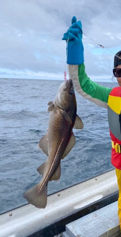 Fishing For Success At Island Rooms Of Petty Harbour-Petty Harbour必去景点