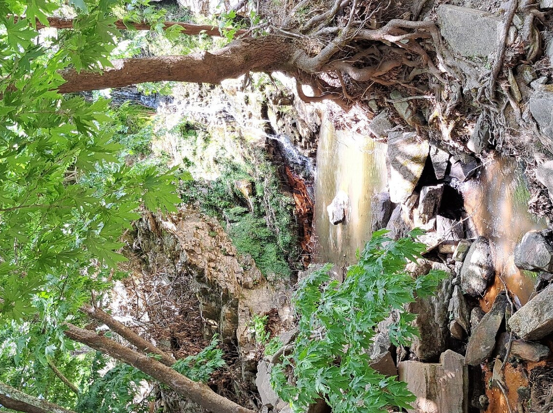 Maries Lakes-Maries必去景点