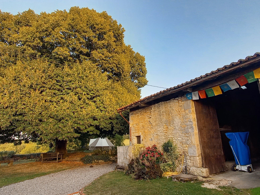 Under The Lime Tree主图