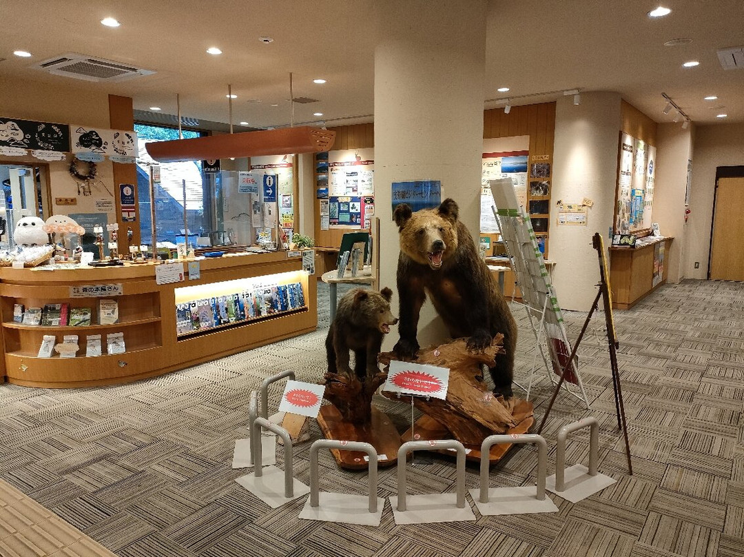 Shikotsuko Visitor Center-千岁市必去景点
