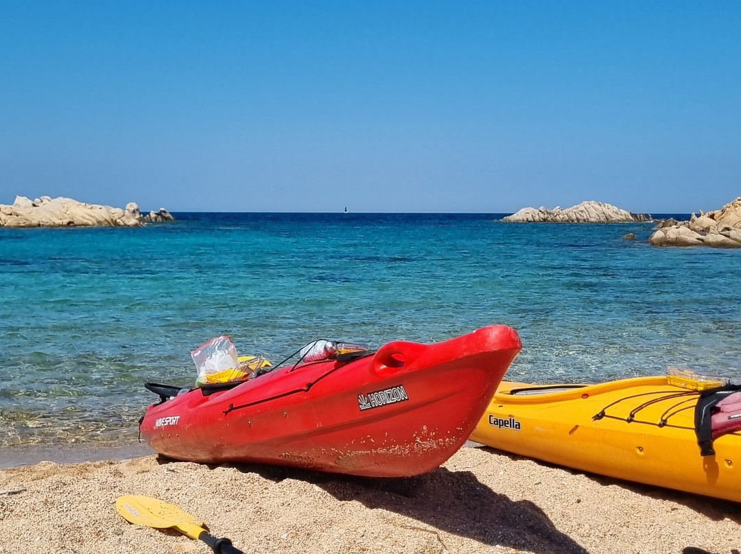 Go Sea Kayak-奥尔比亚必去景点