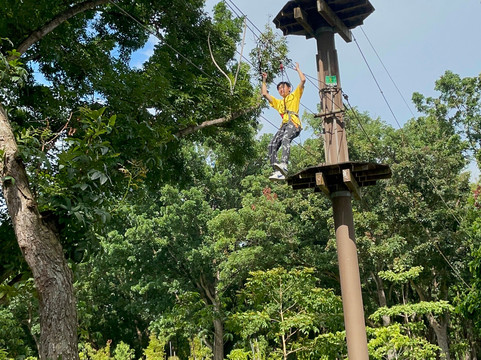 Forest Adventure-新加坡必去景点