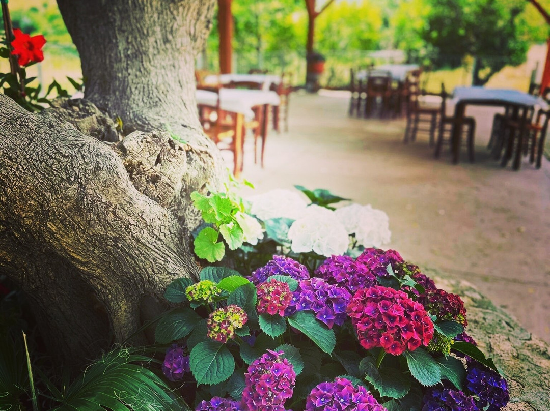 Agriturismo Su Cuile主图