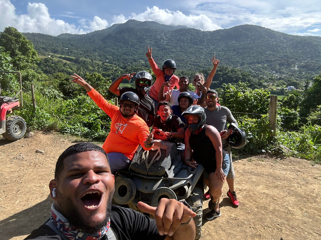 Rainforest & Ocean View Inn at Hacienda Carabali主图