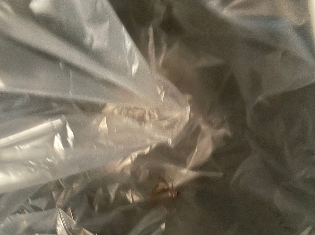 La Quinta Inn & Suites by Wyndham Forsyth主图