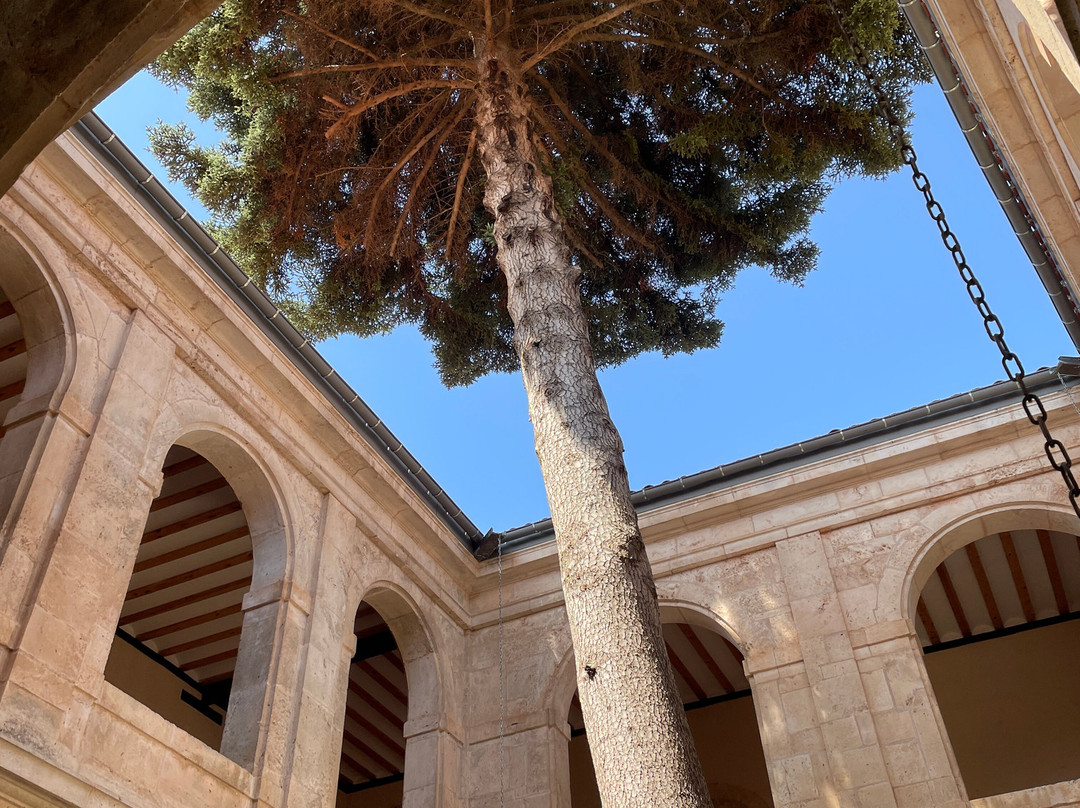San Pedro de Arlanza景点图片