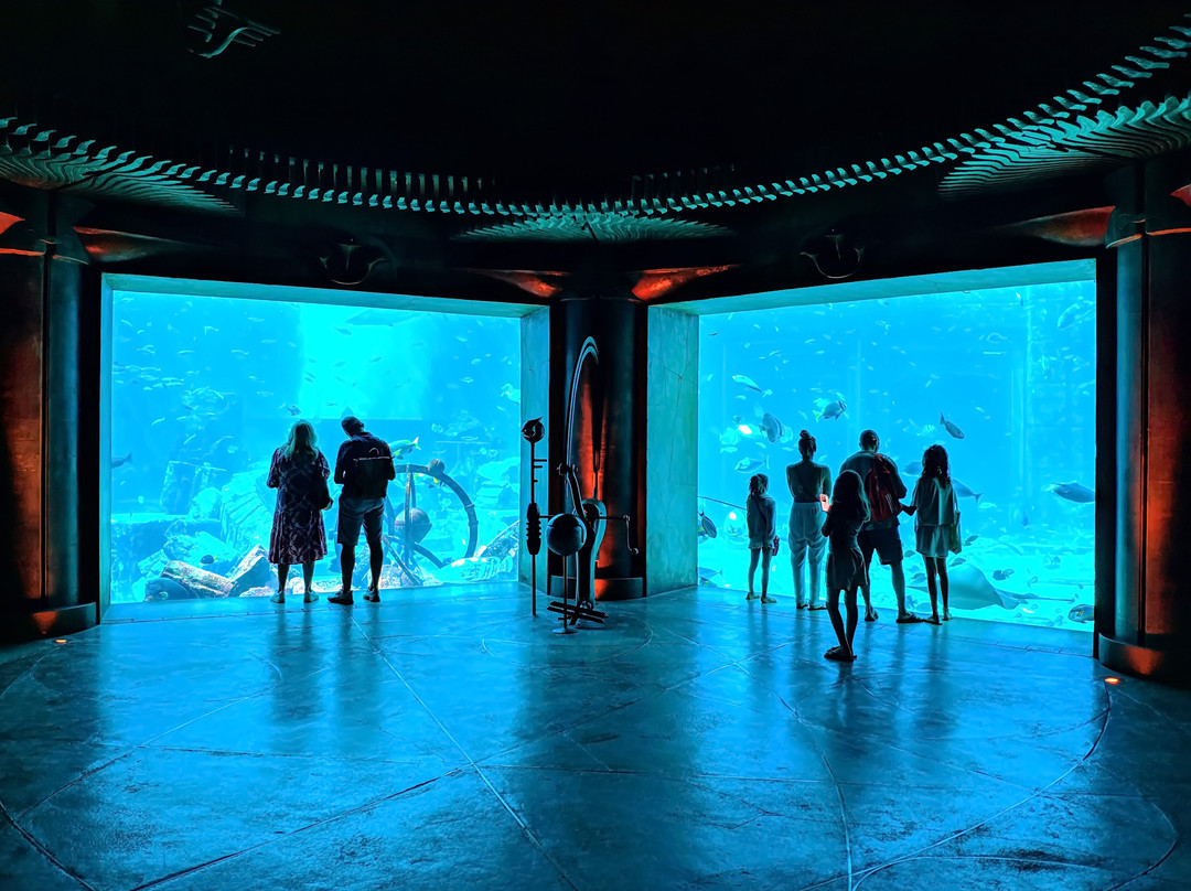 失落的密室水族馆景点图片