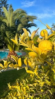 Hotel Fundo Las Tórtolas主图