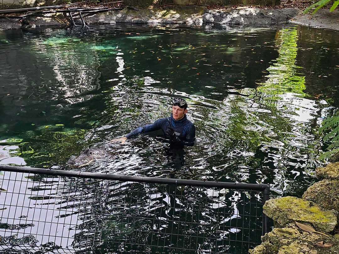 Everglades Outpost Wildlife Refuge-霍姆斯特德必去景点