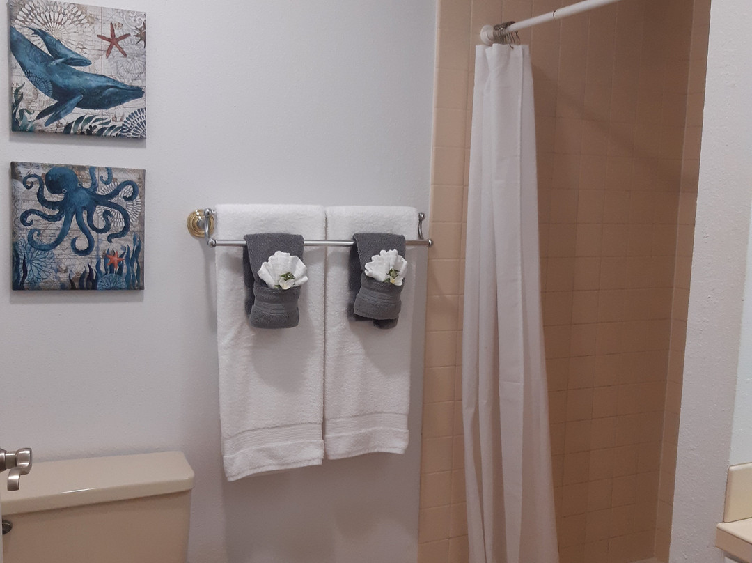 科纳湾景家庭式客栈主图