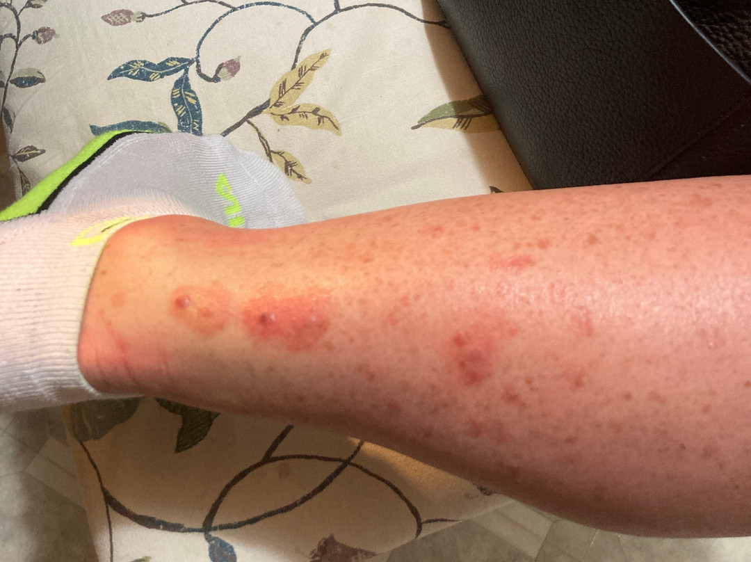 The Inn at Oriental主图