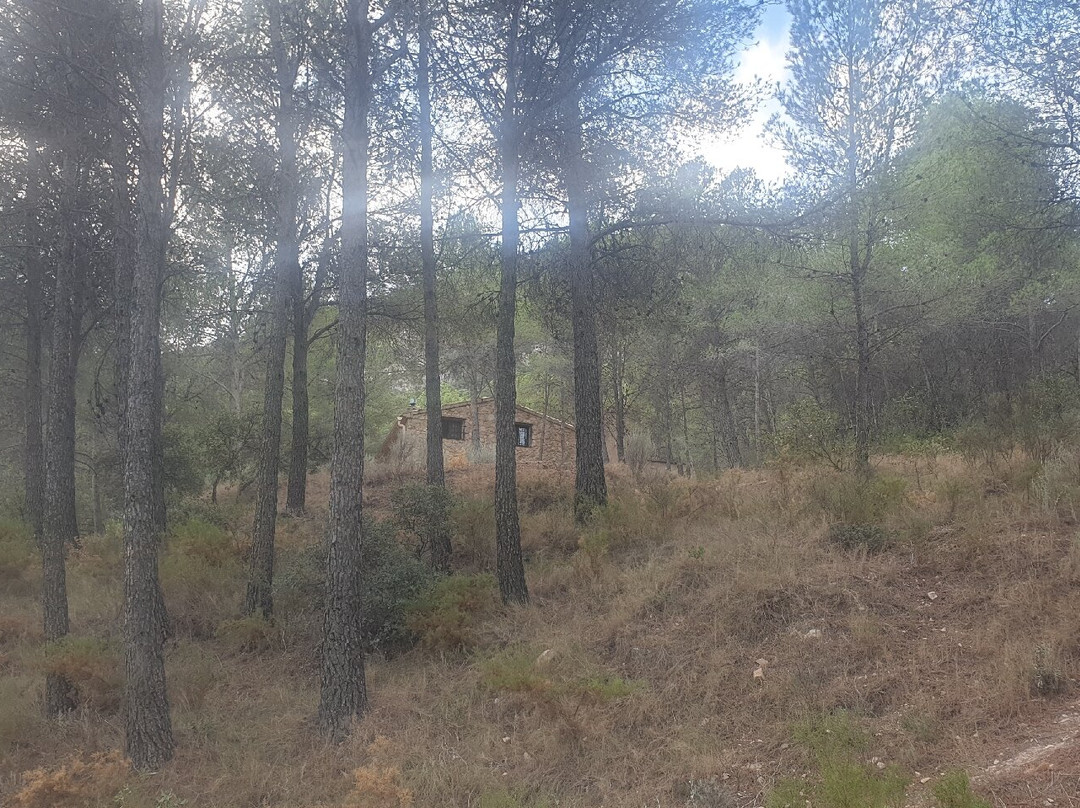 Sierra del Maigmó景点图片