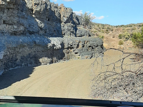 Roam Private Game Reserve主图