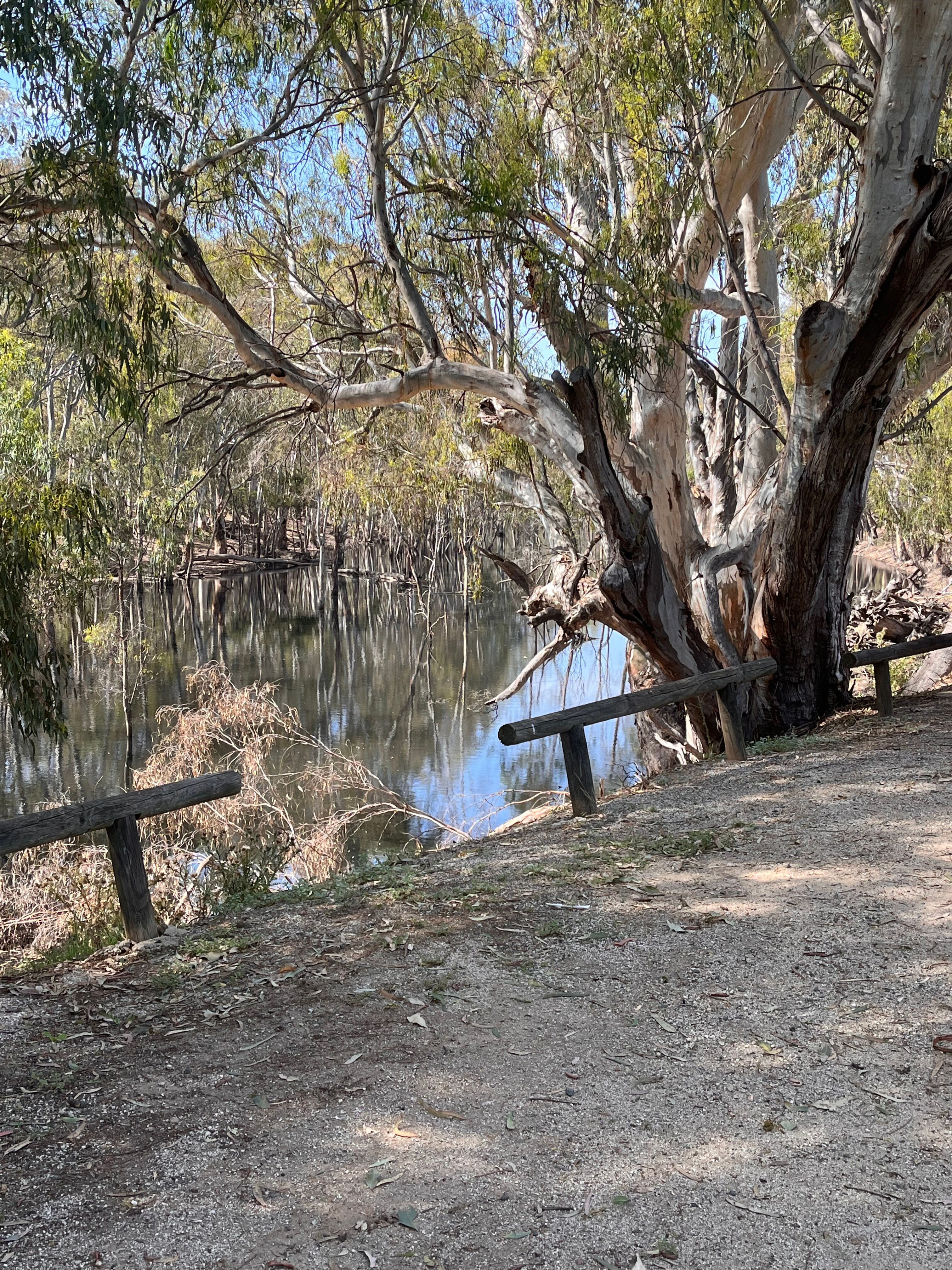 Deni Golf Resort-浴室