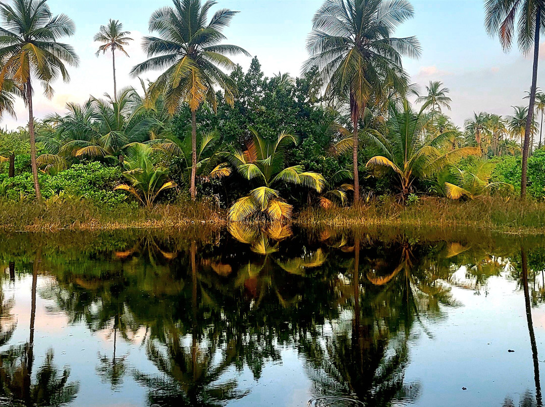 Bangaram Island-Bangaram必去景点