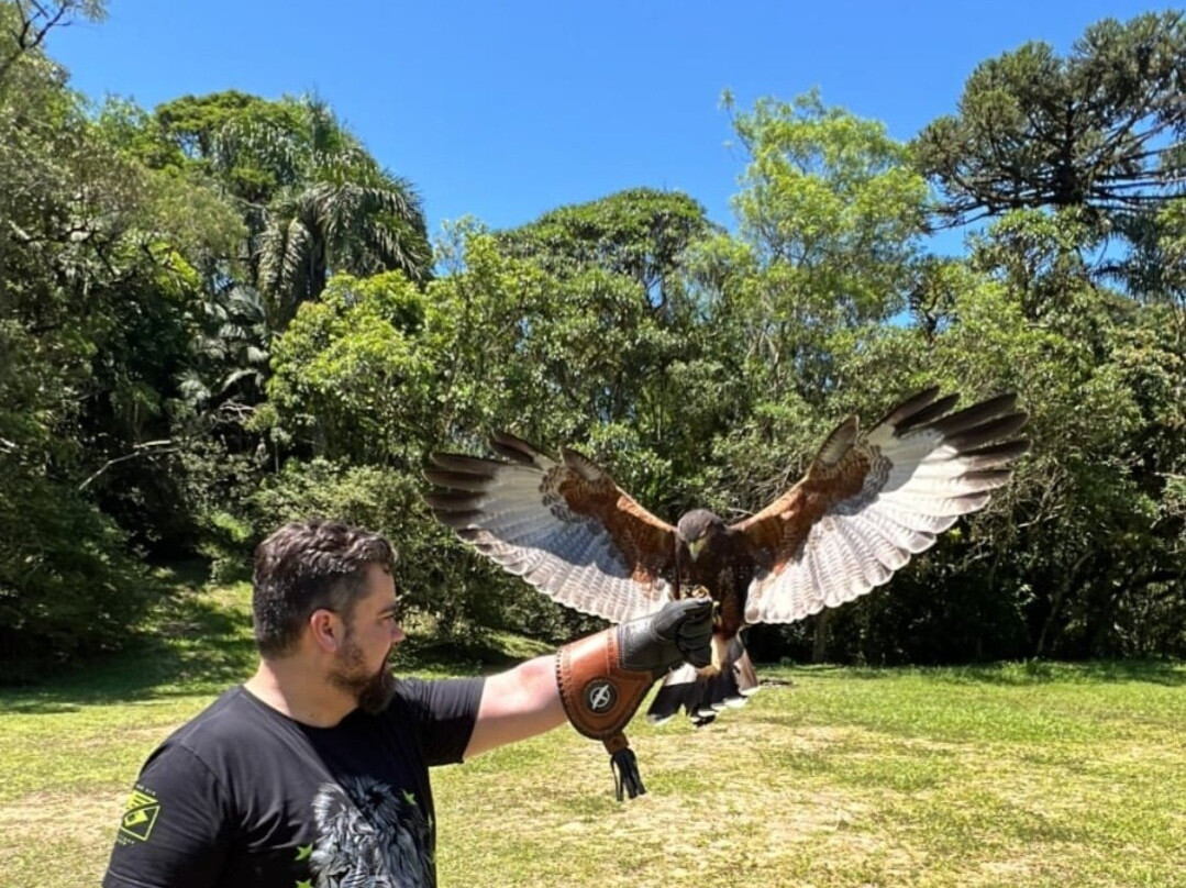 ArtFalcon Falcoaria-佩尼亚必去景点