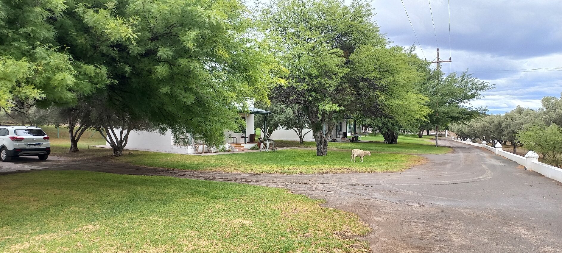 Olive Grove Guest Farm-官方