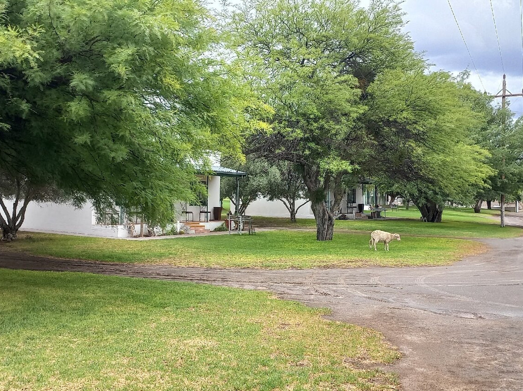 Olive Grove Guest Farm主图