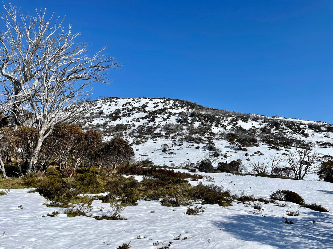 Porcupine Walking Trail景点图片